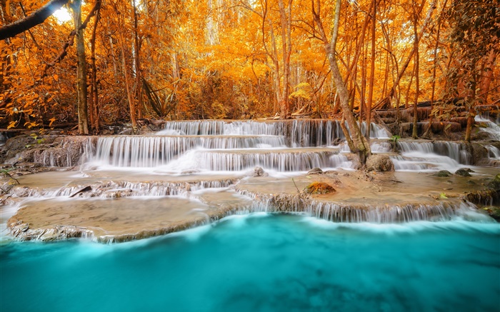 Herbst, Wald, Bäume, Fluss, Wasserfälle Hintergrundbilder Bilder
