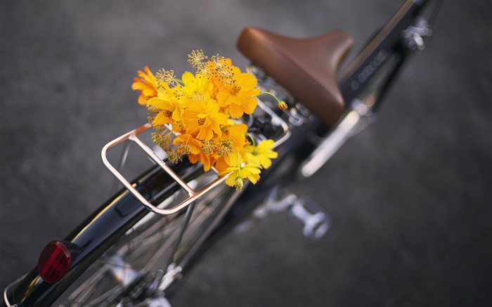 Bike, gelbe Blüten, Strauß Hintergrundbilder Bilder