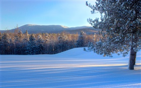 Bread Loaf Mountain, schnee, bäume, winter, Vermont, USA