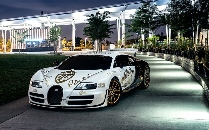 Bugatti Veyron weiß Supersportwagen, New York, Bäume, Nacht, Lichter Hintergrundbilder Bilder