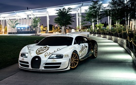 Bugatti Veyron weiß Supersportwagen, New York, Bäume, Nacht, Lichter HD Hintergrundbilder