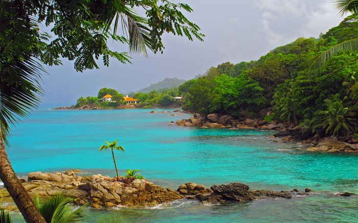 Küste, Meer, Bäume, Häuser, Seychellen Hintergrundbilder Bilder