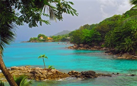 Küste, Meer, Bäume, Häuser, Seychellen HD Hintergrundbilder