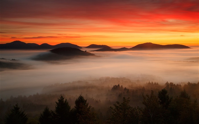 Morgendämmerung, Berge, Wald, Wolken, roten Himmel, Nebel Hintergrundbilder Bilder