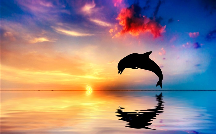 Delfinsprung, Silhouette, Ozean, Wasser Reflexion, Sonnenuntergang Hintergrundbilder Bilder