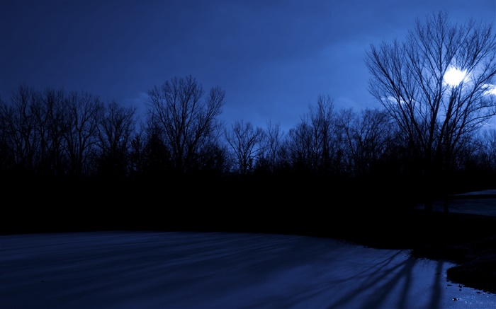 Ostern See, Bäume, Nacht, Mond, Des Moines, Iowa, USA Hintergrundbilder Bilder