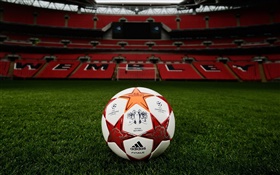 Fußball, Champions League, Wiese, Stadion, Wembley