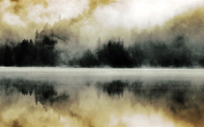 Wald, See, Nebel, Morgendämmerung, Wasser Reflexion Hintergrundbilder Bilder
