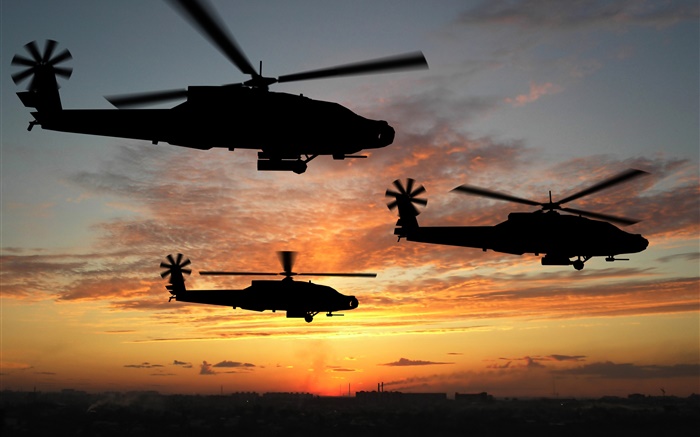 Helikopterflug, Sonnenuntergang Hintergrundbilder Bilder