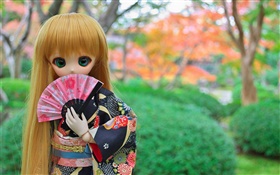 Japanische Spielzeug Mädchen, doll, lange Haare HD Hintergrundbilder