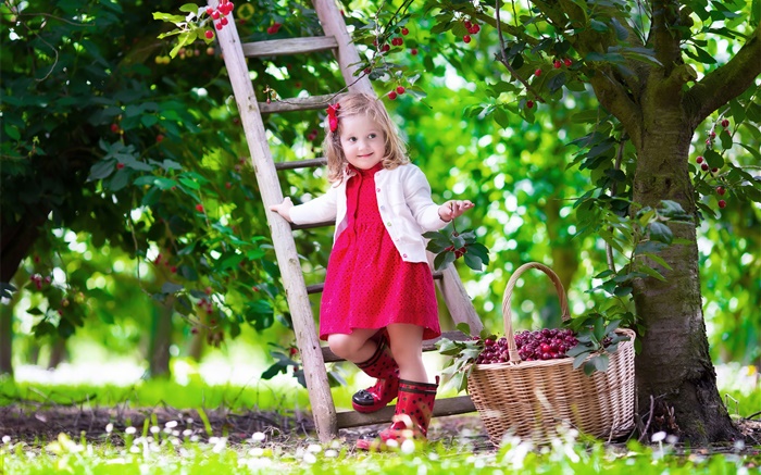 Kleines Mädchen, Kirschen, Kind, Baum, Garten Hintergrundbilder Bilder