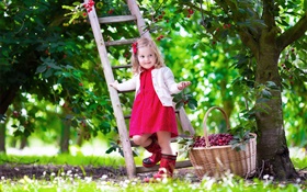 Kleines Mädchen, Kirschen, Kind, Baum, Garten HD Hintergrundbilder
