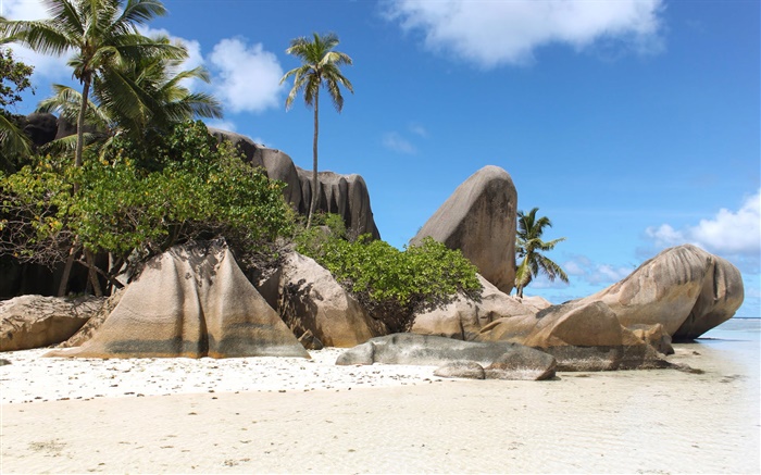 Seychellen, Strand, Steine, Palmen Hintergrundbilder Bilder