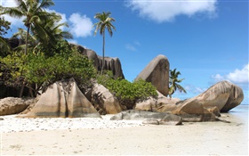 Seychellen, Strand, Steine, Palmen HD Hintergrundbilder