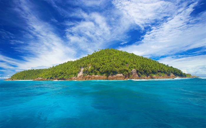 Seychellen-Insel, kleine Insel, Bäume, Meer Hintergrundbilder Bilder