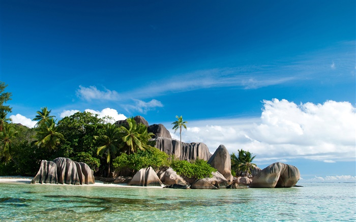 Seychellen-Insel, Meer, Küste, Steinen, Palmen, Wolken Hintergrundbilder Bilder