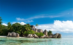 Seychellen-Insel, Meer, Küste, Steinen, Palmen, Wolken