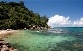 Seychellen, Hang, Meer, Küste, Wolken HD Hintergrundbilder