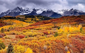 Hang, Berge, Bäume, Herbst, Wolken HD Hintergrundbilder