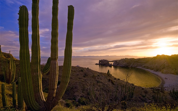 Sonnenuntergang, Berge, Meer, Insel Catalina Island, Kalifornien, USA Hintergrundbilder Bilder