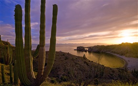 Sonnenuntergang, Berge, Meer, Insel Catalina Island, Kalifornien, USA HD Hintergrundbilder
