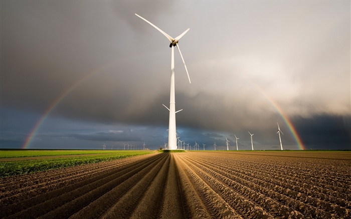 Windmühlen, regenbogen, Feld Hintergrundbilder Bilder