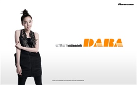 2NE1, koreanische Musik Mädchen 13 HD Hintergrundbilder