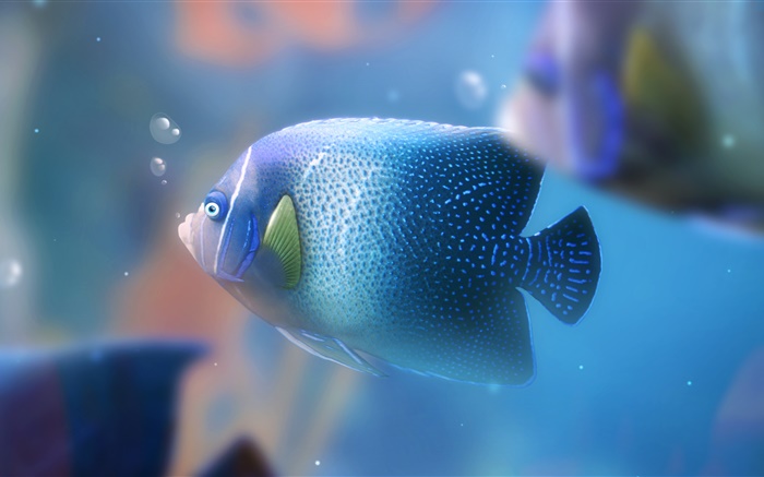 Blau Aquarienfische close-up Hintergrundbilder Bilder
