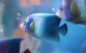 Blau Aquarienfische close-up HD Hintergrundbilder
