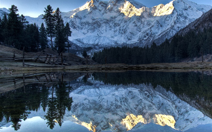 Berge, See, Bäume, Wasser Reflexion, Schnee Hintergrundbilder Bilder