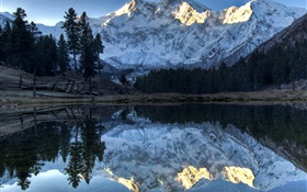 Berge, See, Bäume, Wasser Reflexion, Schnee HD Hintergrundbilder