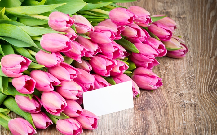 Rosafarbene Tulpen, Strauß Blumen Hintergrundbilder Bilder