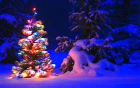 Schnee, Leuchten, Baum, Winter, Nacht, Weihnachten HD Hintergrundbilder