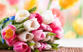 Frühling, tulpen, blumen, weiß, rosa HD Hintergrundbilder