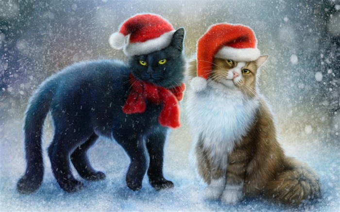 Zwei Katzen, Schnee, Schal, Hut Weihnachten Hintergrundbilder Bilder