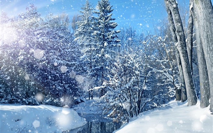 Winter, Wald, Bäume, Fluss, dicken Schnee Hintergrundbilder Bilder
