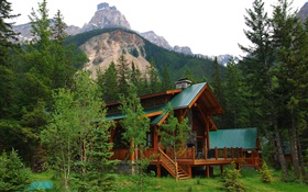 Alberta, Kanada, Villa, Haus, Wald, Bäume, Berge HD Hintergrundbilder