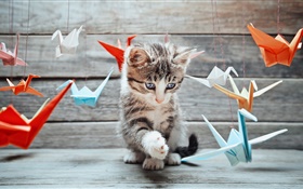 Nettes Kätzchen, bunten Papier Vögel