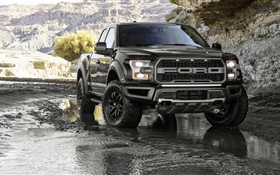 Ford F-150 Pickup Raptor Frontansicht
