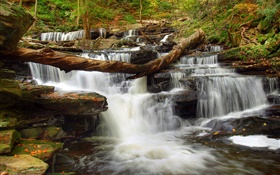 Wald, Steine, Fluss, Bach, Wasserfall HD Hintergrundbilder