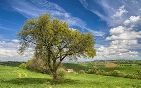 Italien, Naturlandschaft, Hügel, Felder, Haus, Baum, Frühling
