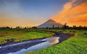 Philippinen, Mayon, Vulkan, Berge, Gras, Bach
