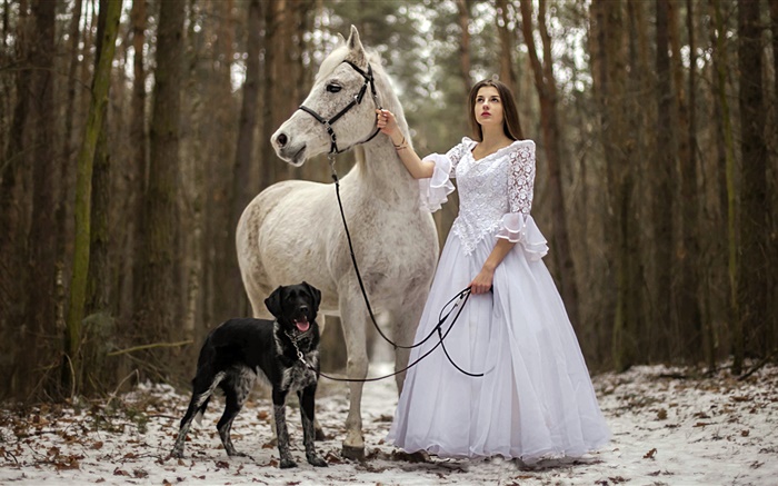 Retro-Stil, weißes Kleid Mädchen, Pferd, Hund, Wald Hintergrundbilder Bilder