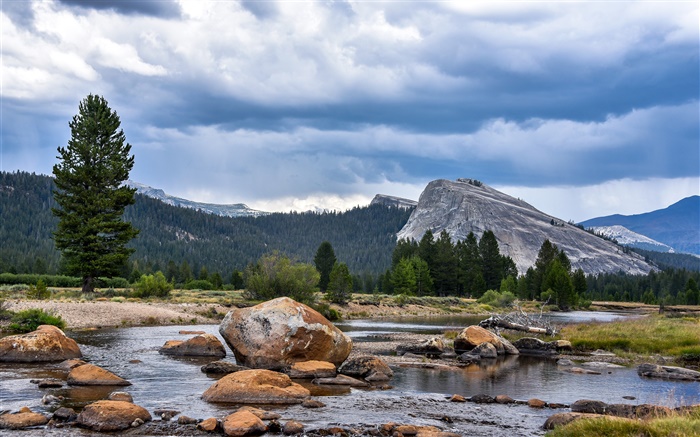 USA, Kalifornien, Yosemite-Nationalpark, Wald, Berge, Wolken, Felsen Hintergrundbilder Bilder