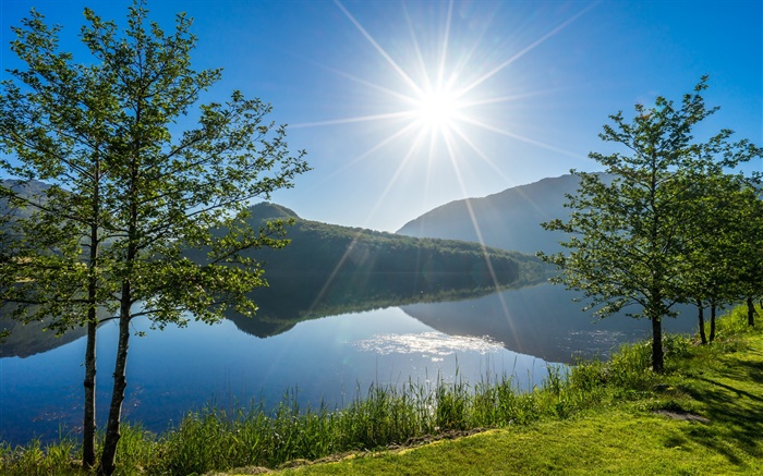 Vigesaa, Rogaland, Norwegen, See, Bäume, Sonnenlicht Hintergrundbilder Bilder