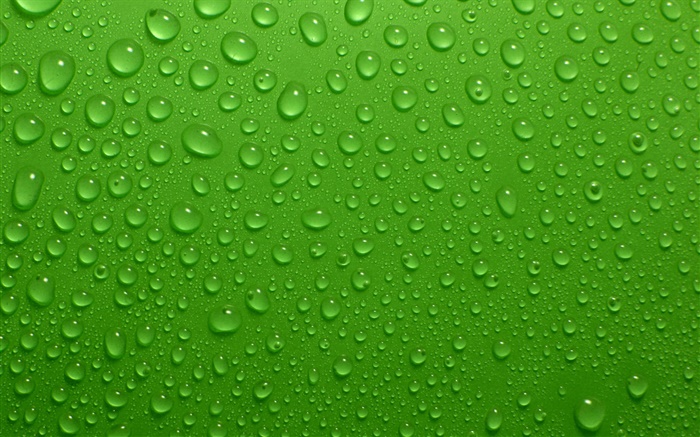 Wassertropfen, grünen Hintergrund Hintergrundbilder Bilder