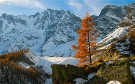 Winter, Berge, Schnee, Bäume, Steine HD Hintergrundbilder