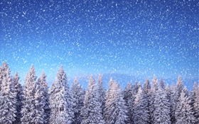 Winter, Fichten, blauer Himmel, Schneeflocken, Schnee