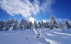 Winter, dicken Schnee, Bäume, Fichte, Hang, Wolken HD Hintergrundbilder