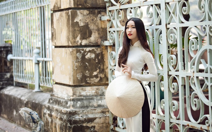 Asiatisches Mädchen, weißes Kleid, langes Haar, Zaun Hintergrundbilder Bilder